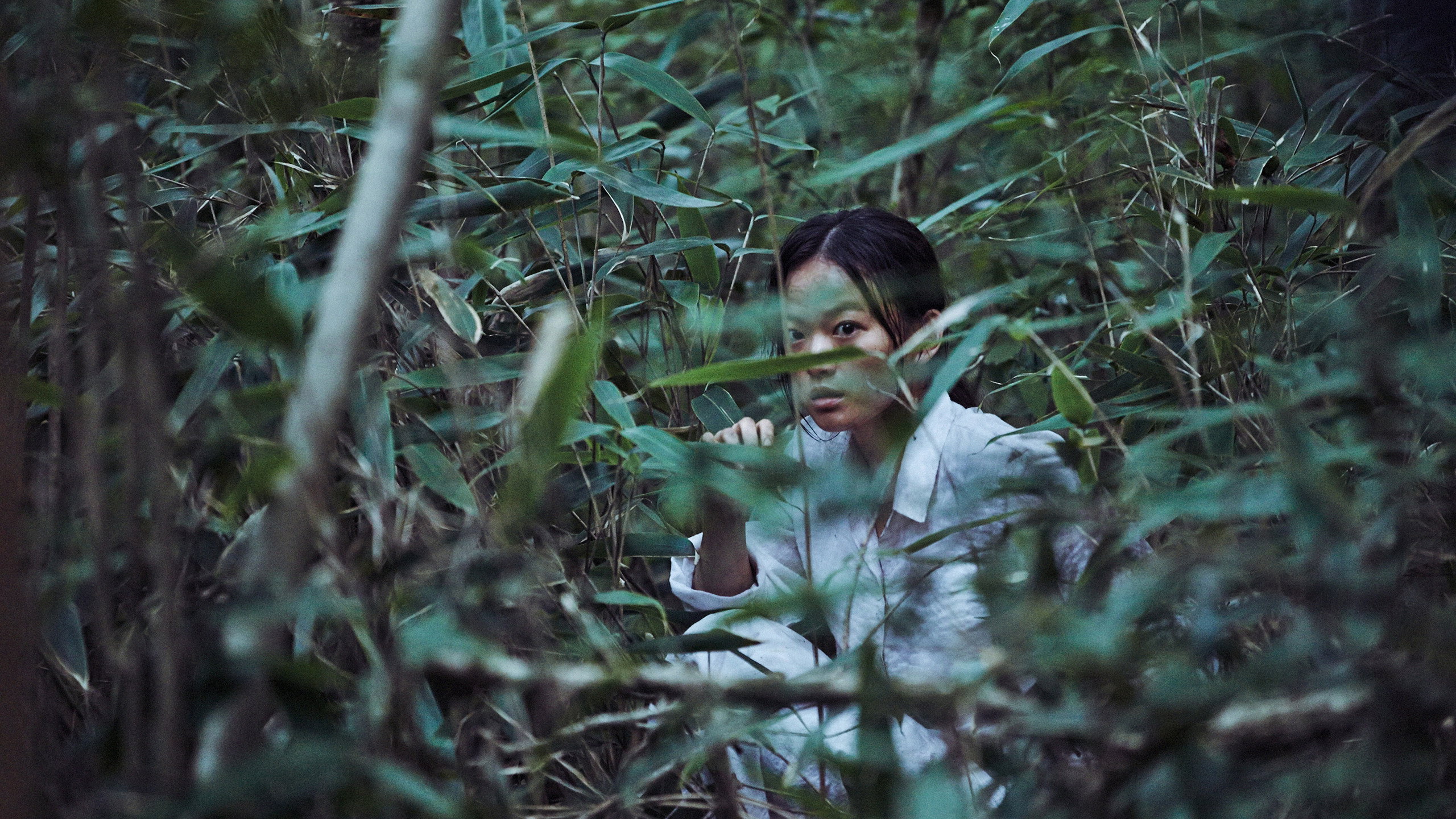 Hidden Gem Film Horor - The Wailing (2016)