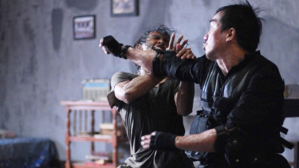 The Raid (2012)