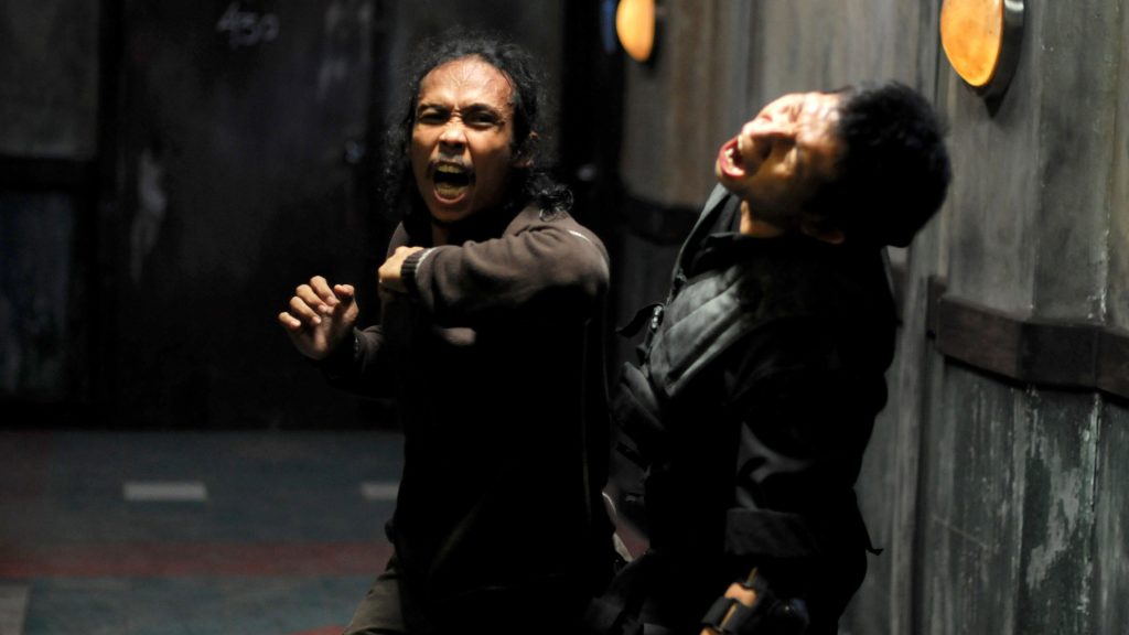 The Raid (2012)