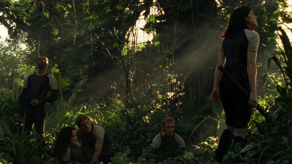 The Hunger Games: Catching Fire (2013)