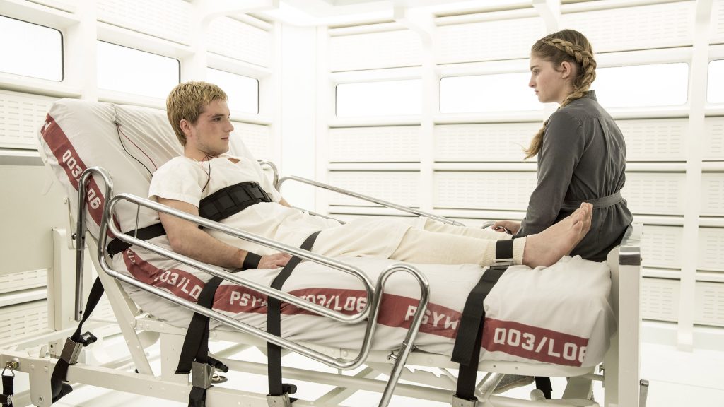 The Hunger Games: Mockingjay Part 2 (2015)
